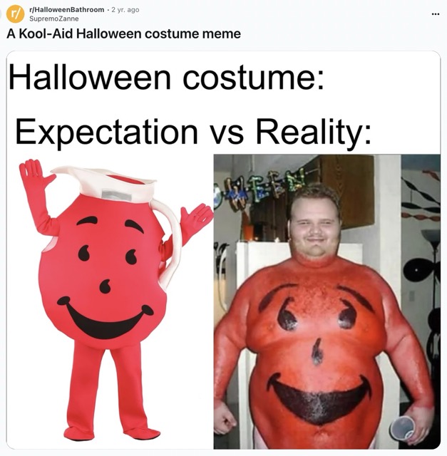 kool aid man meme - r rHalloweenBathroom 2 yr. ago Supremo Zanne A KoolAid Halloween costume meme Halloween costume Expectation vs Reality